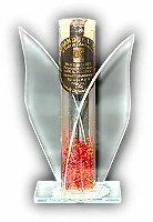 Cliquer sur l'image pour l'agrandir