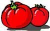 Recette des tomates au riz et au safran du Gâtinais